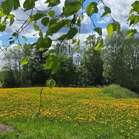 Apartment Kyyveden Kartano Vaarinhuone 15 *